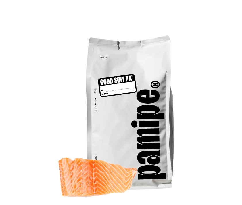 Comida Pamipe salmon